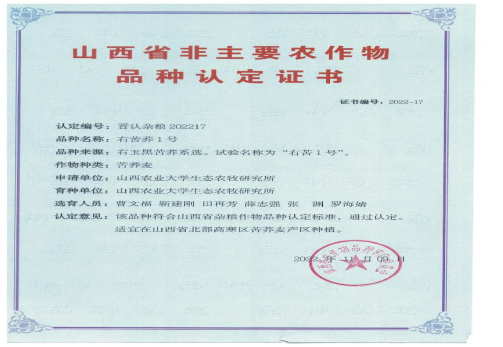 右苦荞1号